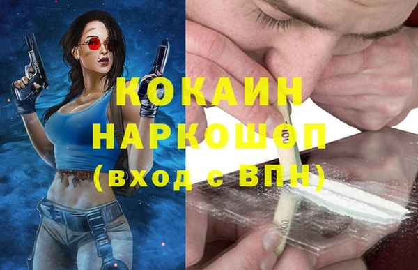 индика Баксан