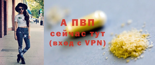 стаф Балахна