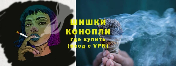 стаф Балахна