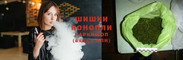 индика Баксан
