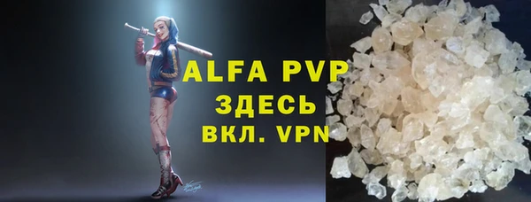индика Баксан
