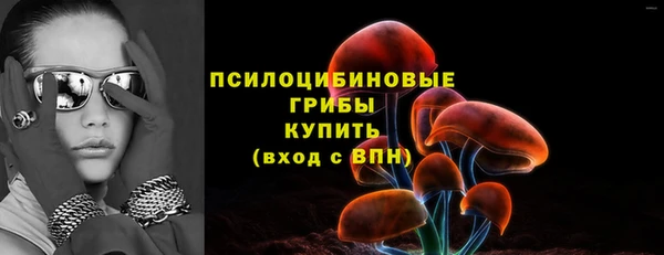 стаф Балахна