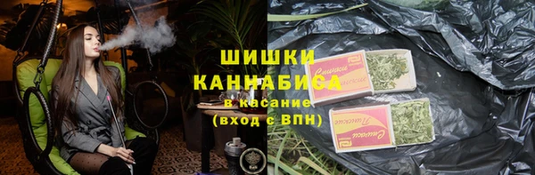 стаф Балахна