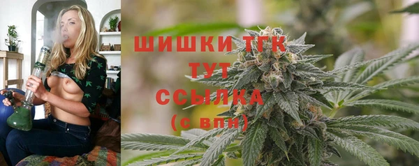 индика Баксан